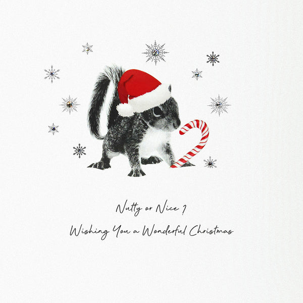 Nutty or Nice? Wishing You a Wonderful Christmas