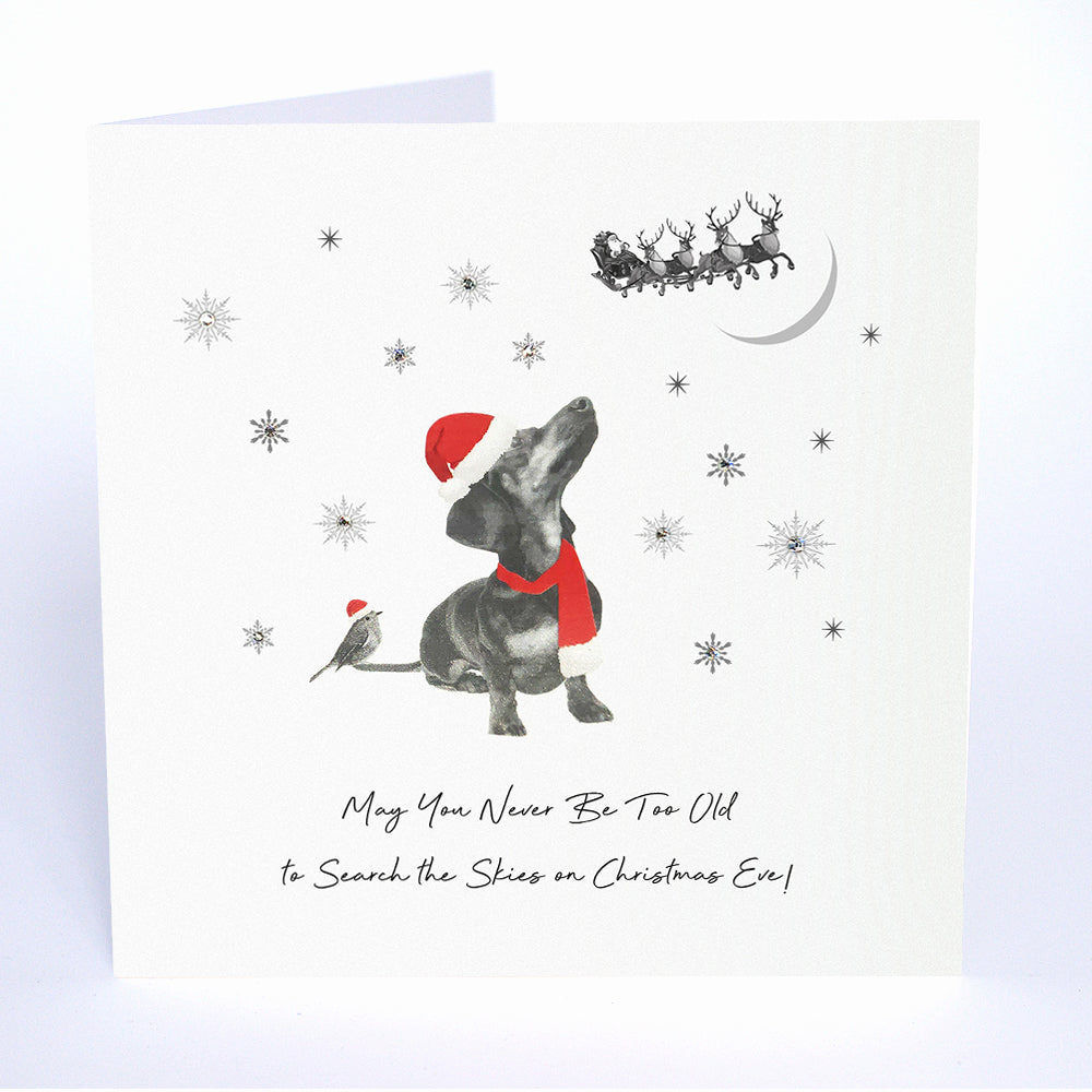 May You Never Be Too Old…