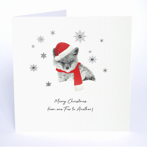 Merry Christmas from One Fox to Another!