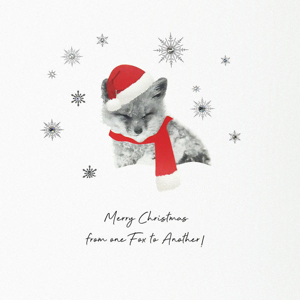 Merry Christmas from One Fox to Another!