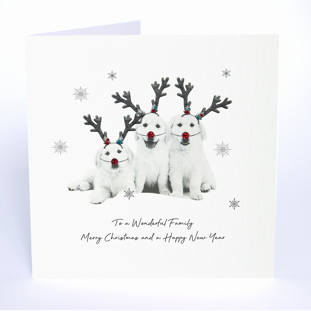 To a Wonderful Family Merry Christmas…