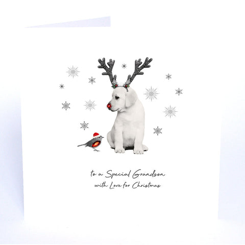 To a Special Grandson with Love for Christmas