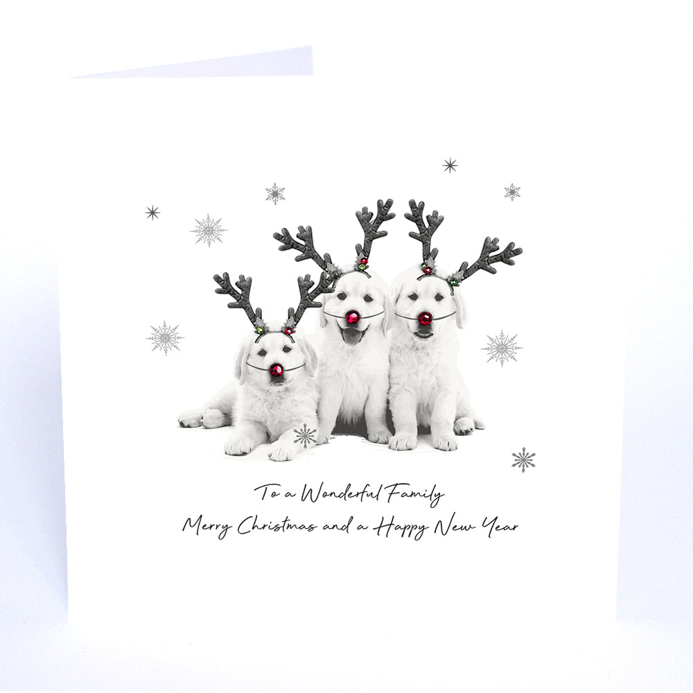 To a Wonderful Family Merry Christmas and a Happy New Year