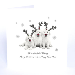 To a Wonderful Family Merry Christmas and a Happy New Year