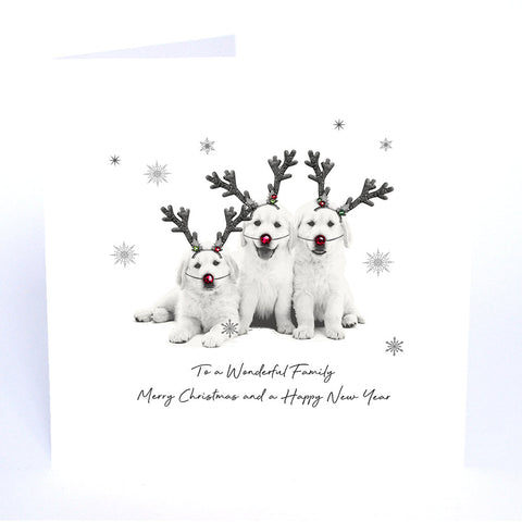 To a Wonderful Family Merry Christmas and a Happy New Year