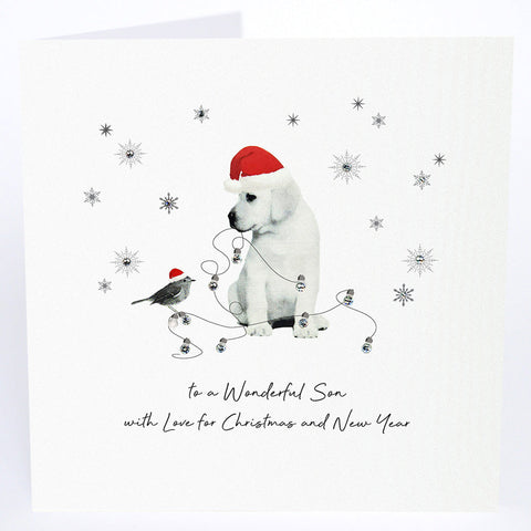To a Wonderful Son with Love for Christmas and New Year