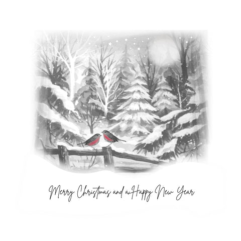 Merry Christmas and a Happy New Year (Robins)
