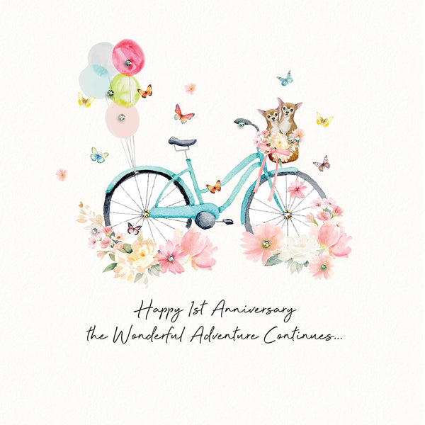 Happy 1st Anniversary the Wonderful Adventure Continues