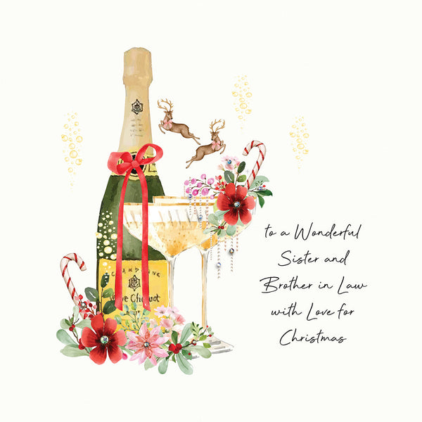 To a Wonderful Sister and Brother in Law With Love for Christmas