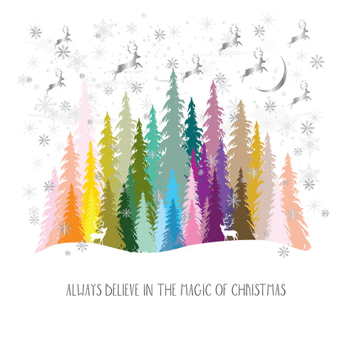 Always Believe in the Magic of Christmas