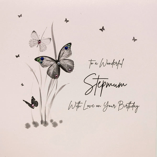 To a Wonderful Stepmum With Love on your Birthday