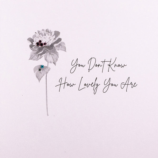 You Don’t Know How Lovely You Are
