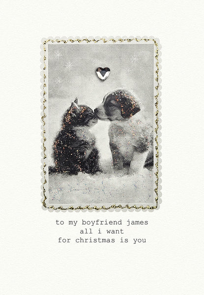 to My Boyfriend All I want For Christmas is You (Cat and Dog)