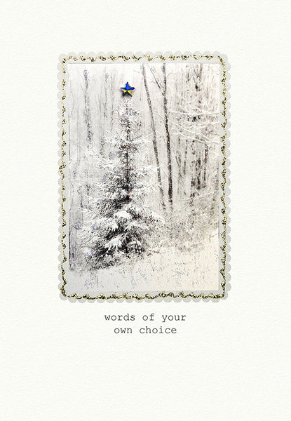 Words of Your Own Choice (Woodland Trees)