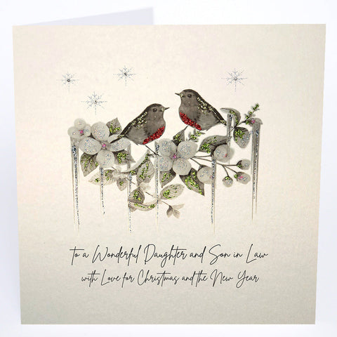 To a Wonderful Daughter and Son in Law (robins)