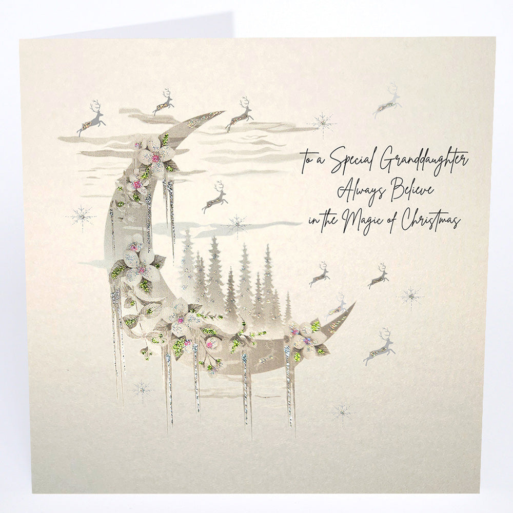 To a Special Granddaughter Always Believe...