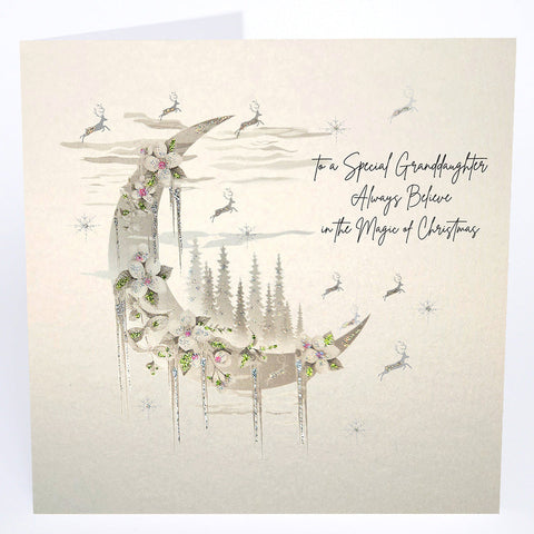 To a Special Granddaughter Always Believe...