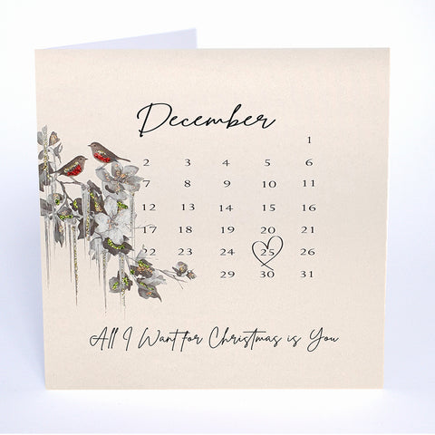 All I Want For Christmas is You (Calendar)