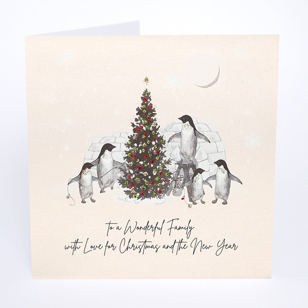 To a Wonderful Family with Love for Christmas