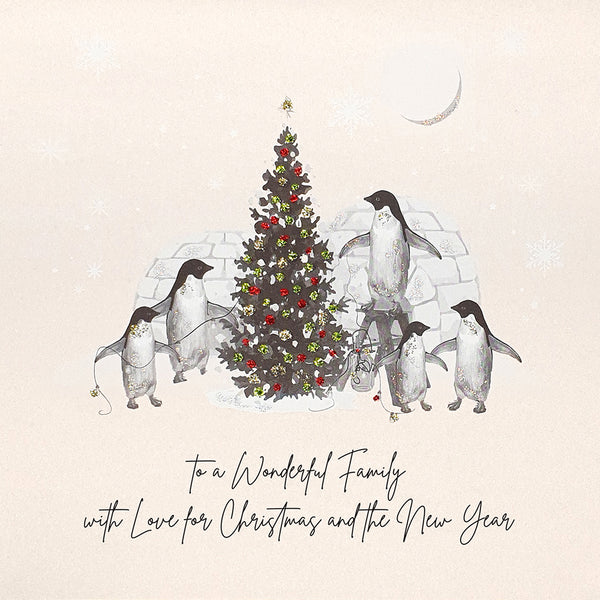 To a Wonderful Family with Love for Christmas