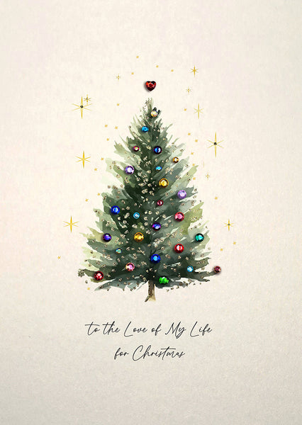 To the Love of My Life for Christmas