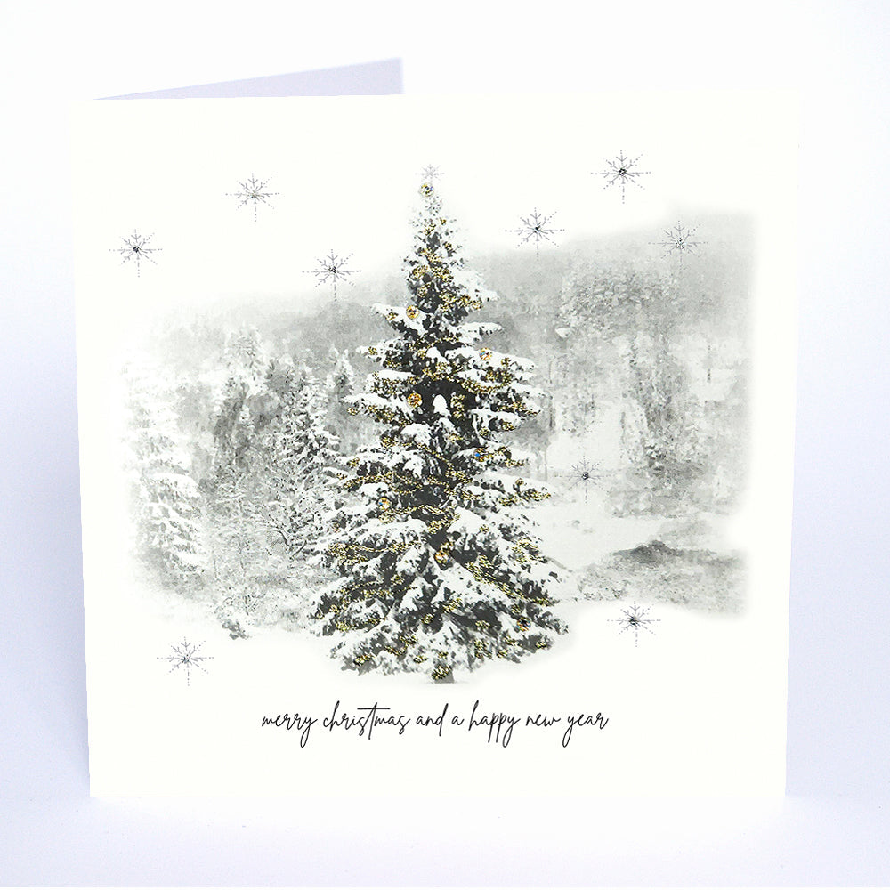 Merry Christmas and a Happy New Year