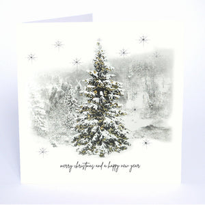 Merry Christmas and a Happy New Year
