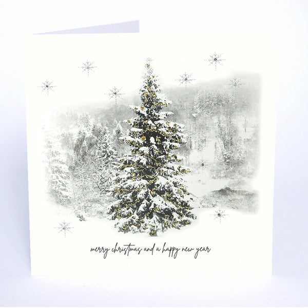 Merry Christmas and a Happy New Year