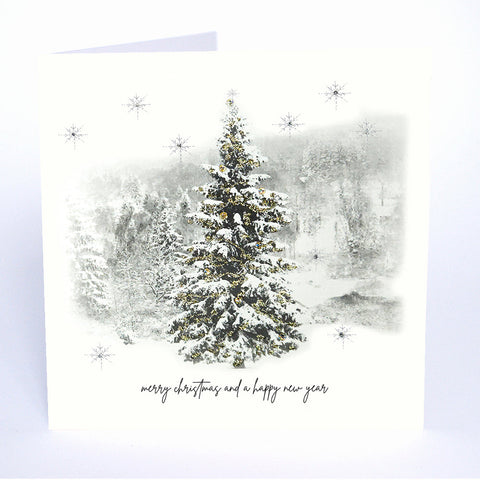 Merry Christmas and a Happy New Year