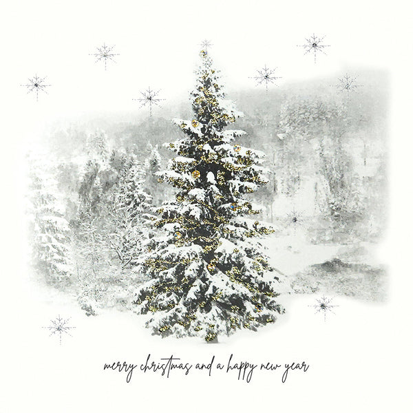 Merry Christmas and a Happy New Year