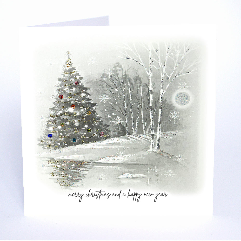 Merry Christmas and a Happy New Year