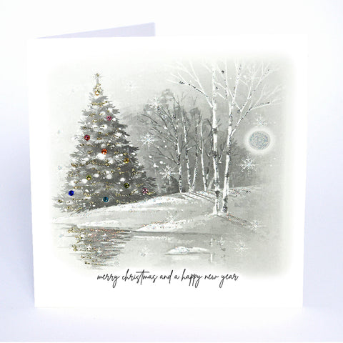 Merry Christmas and a Happy New Year