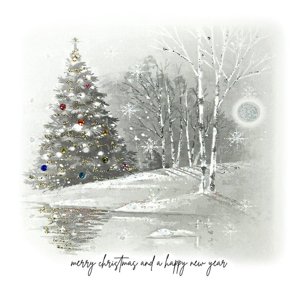 Merry Christmas and a Happy New Year