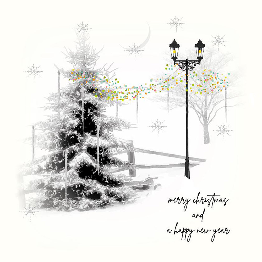 Merry Christmas and a Happy New Year
