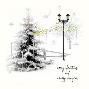 Merry Christmas and a Happy New Year