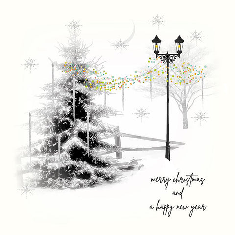 Merry Christmas and a Happy New Year