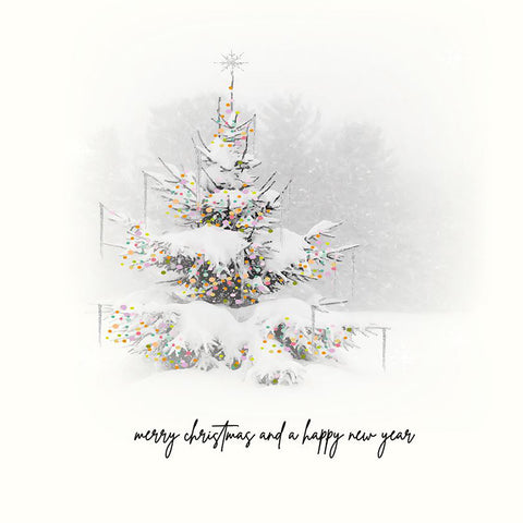 Merry Christmas and a Happy New Year