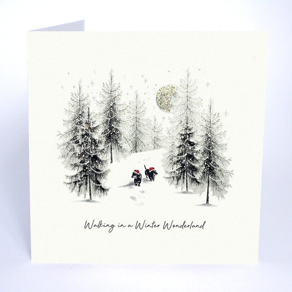 Walking in a Winter Wonderland