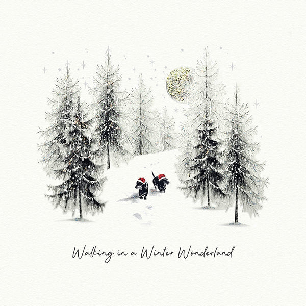 Walking in a Winter Wonderland