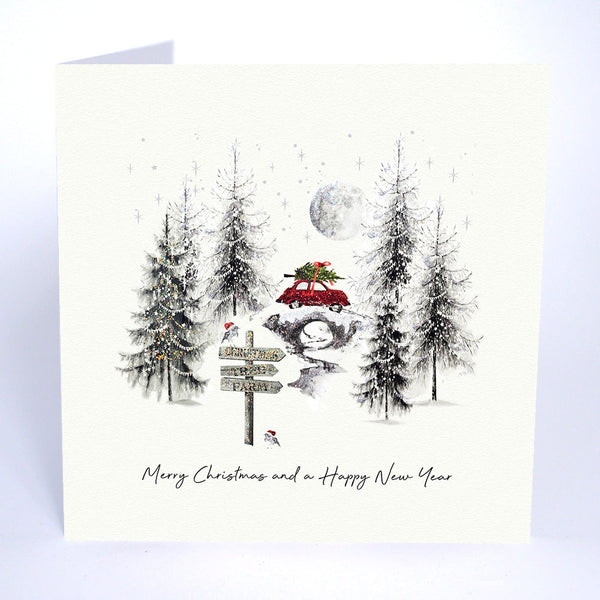 Merry Christmas and a Happy New Year