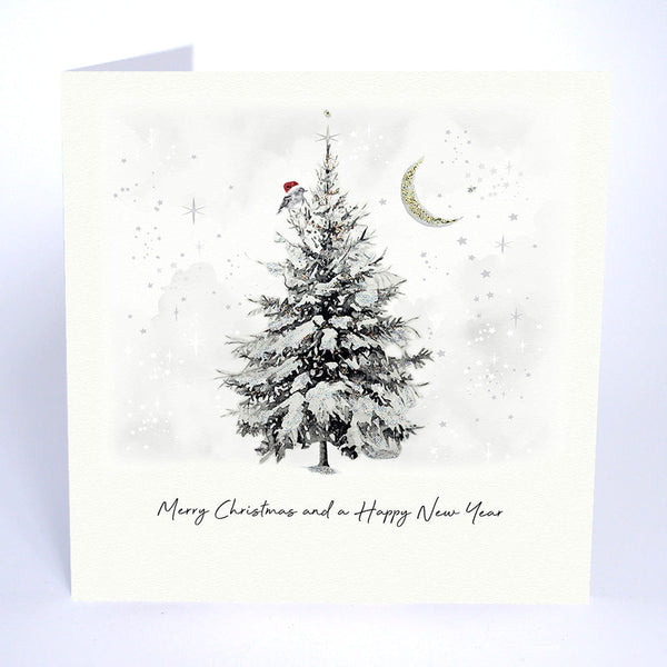 Merry Christmas and a Happy New Year