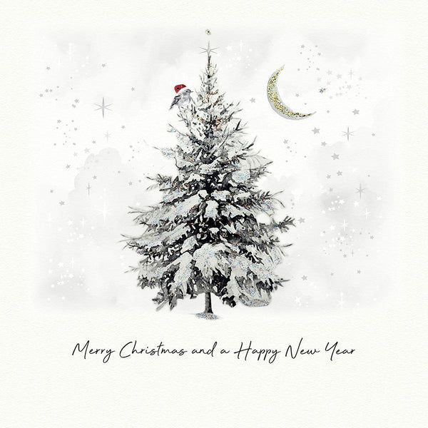 Merry Christmas and a Happy New Year