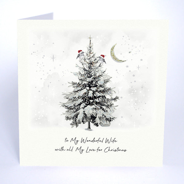 To My Wonderful Wife With All My Love for Christmas