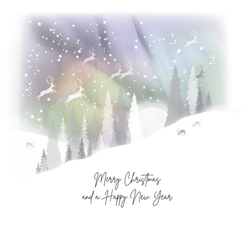 Merry Christmas and a Happy New Year