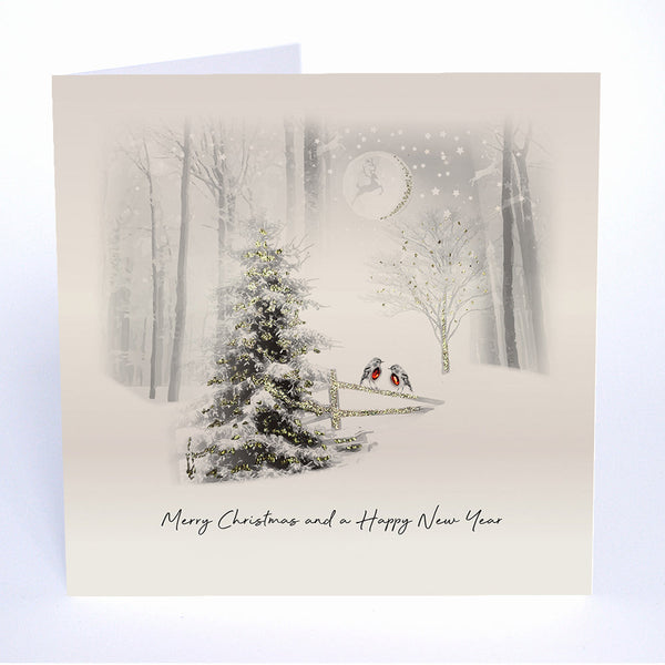 Merry Christmas and a Happy New Year