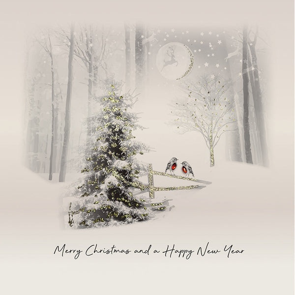Merry Christmas and a Happy New Year