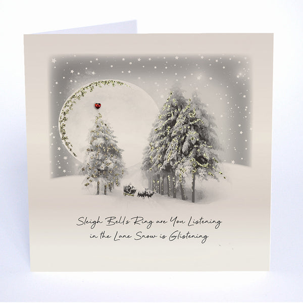 Sleigh Bells Ring are You Listening in the Lane Snow is Glistening