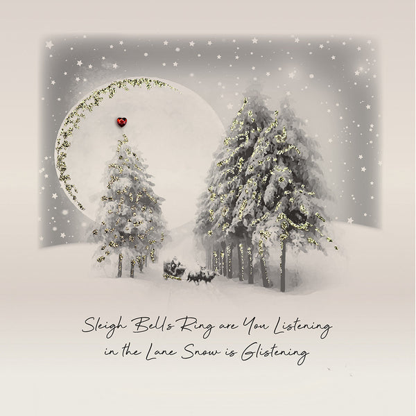 Sleigh Bells Ring are You Listening in the Lane Snow is Glistening