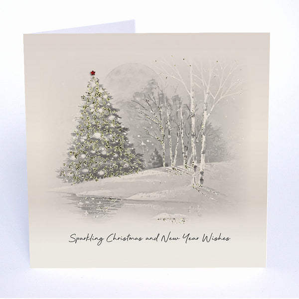 Sparkling Christmas and New Year Wishes