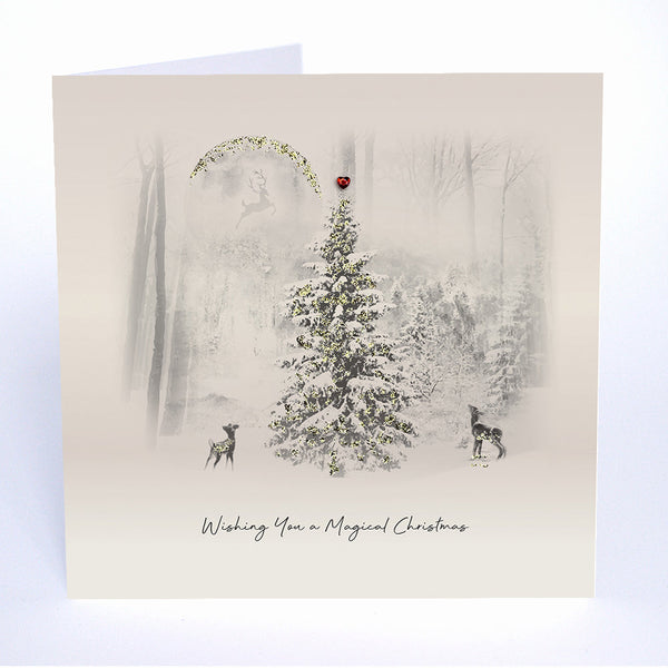 Wishing You a Magical Christmas
